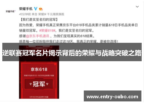 逆联赛冠军名片揭示背后的荣耀与战略突破之路